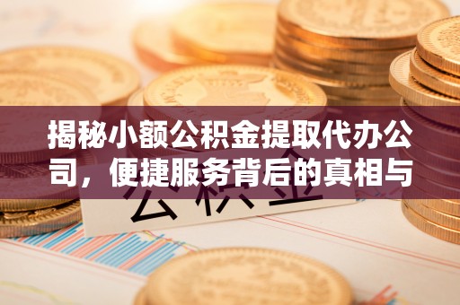 高港揭秘小额公积金提取代办公司，便捷服务背后的真相与选择指南