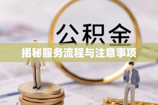 高港揭秘服务流程与注意事项