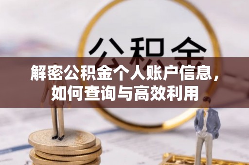 高港解密公积金个人账户信息，如何查询与高效利用