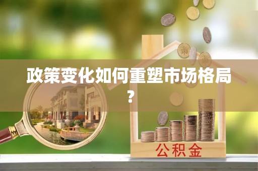 高港政策变化如何重塑市场格局？
