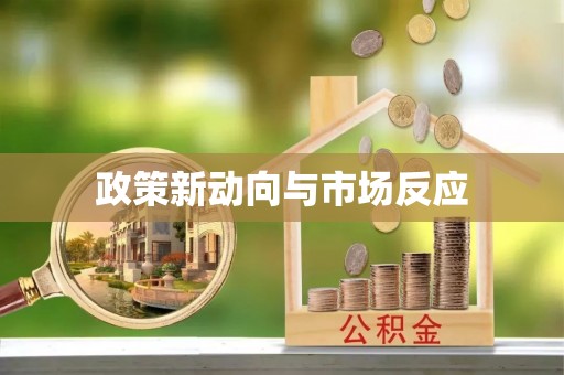 高港政策新动向与市场反应