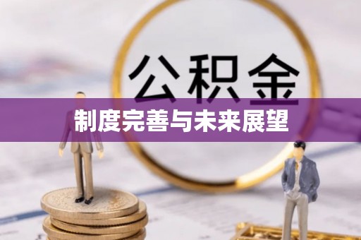 高港制度完善与未来展望