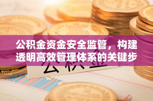 高港公积金资金安全监管，构建透明高效管理体系的关键步骤