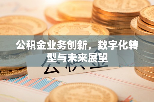 高港公积金业务创新，数字化转型与未来展望