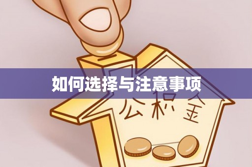 高港如何选择与注意事项