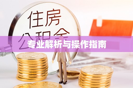 高港专业解析与操作指南