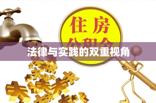 高港法律与实践的双重视角