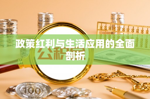 高港政策红利与生活应用的全面剖析