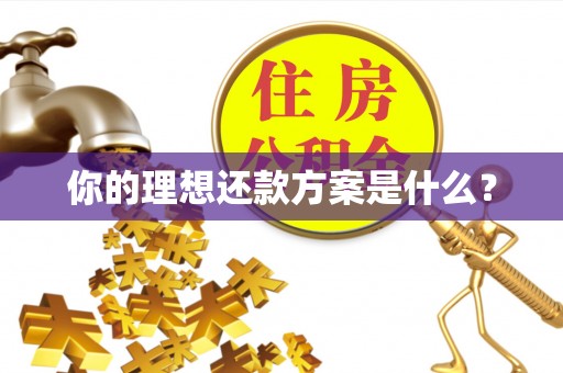 高港你的理想还款方案是什么？