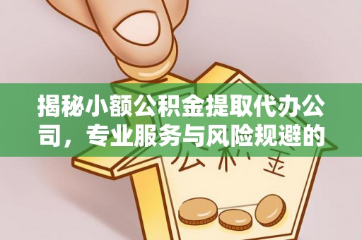 高港揭秘小额公积金提取代办公司，专业服务与风险规避的平衡艺术