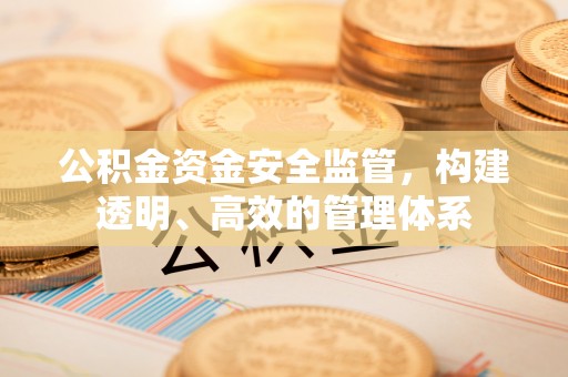 高港公积金资金安全监管，构建透明、高效的管理体系