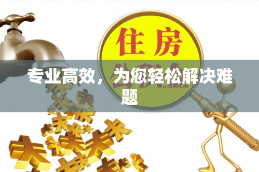 高港专业高效，为您轻松解决难题