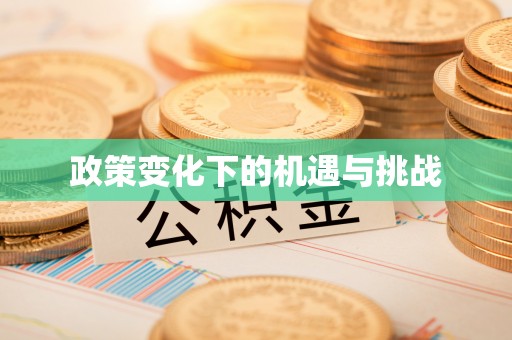 高港政策变化下的机遇与挑战