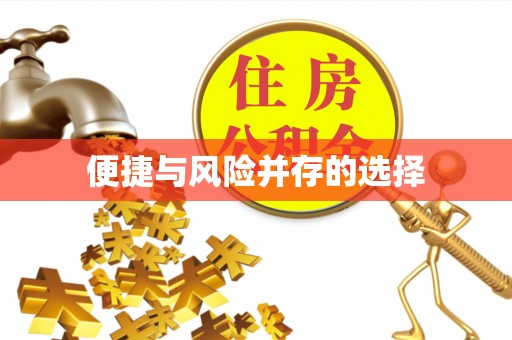 高港便捷与风险并存的选择