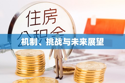 高港机制、挑战与未来展望