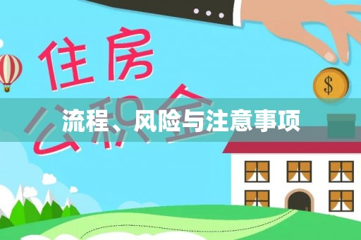 高港流程、风险与注意事项