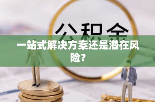 高港一站式解决方案还是潜在风险？